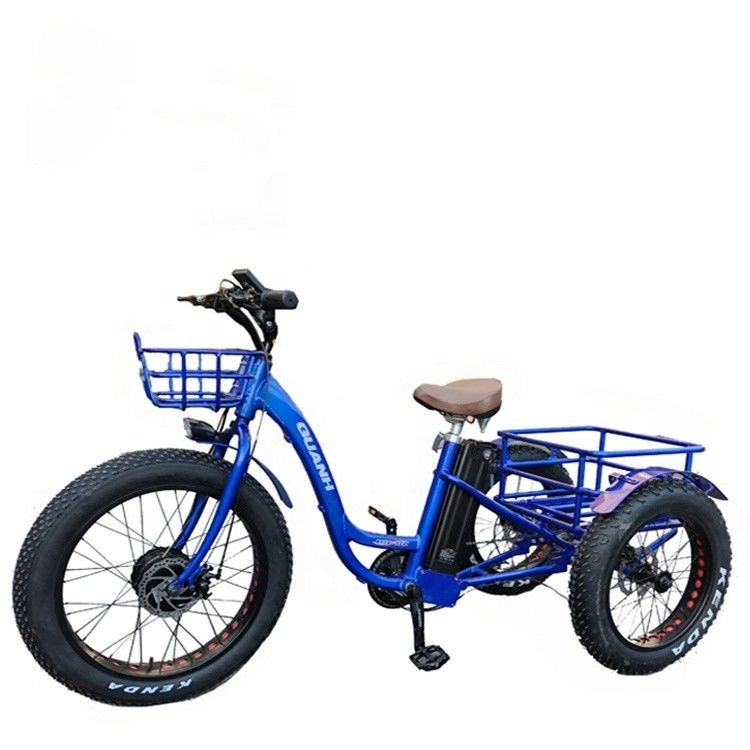 Driving Type Electric 24&quot;x4.0 Fat Tire Electric Cargo Tricycle with 48V 1000w Motor