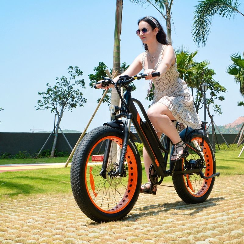 750W 50KM/H A2B CE Chinese OEM 48V Motor Fat Tire Electric Mountain Bicycle Good Nice