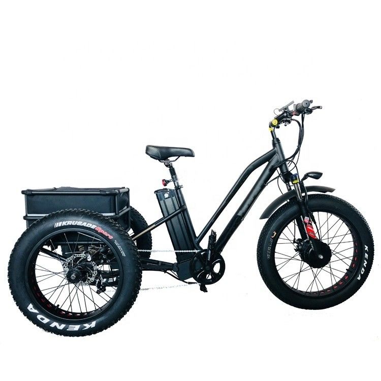 Big Power 48V 13AH 750W 45KM/H UL2849 Bafang Front Motor Electric Fat Tire Tricycle 20