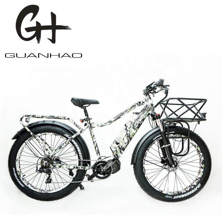 Disc Brake 26inch 1000W Electric Mountain Bike with 17AH Battery and BaFang M620 Motor