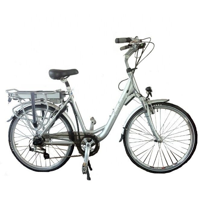 Rear Hub Motor 700C EN15194 Europe CE 36V 250W 20KM/H Women Dutch Ladies Electric Bike
