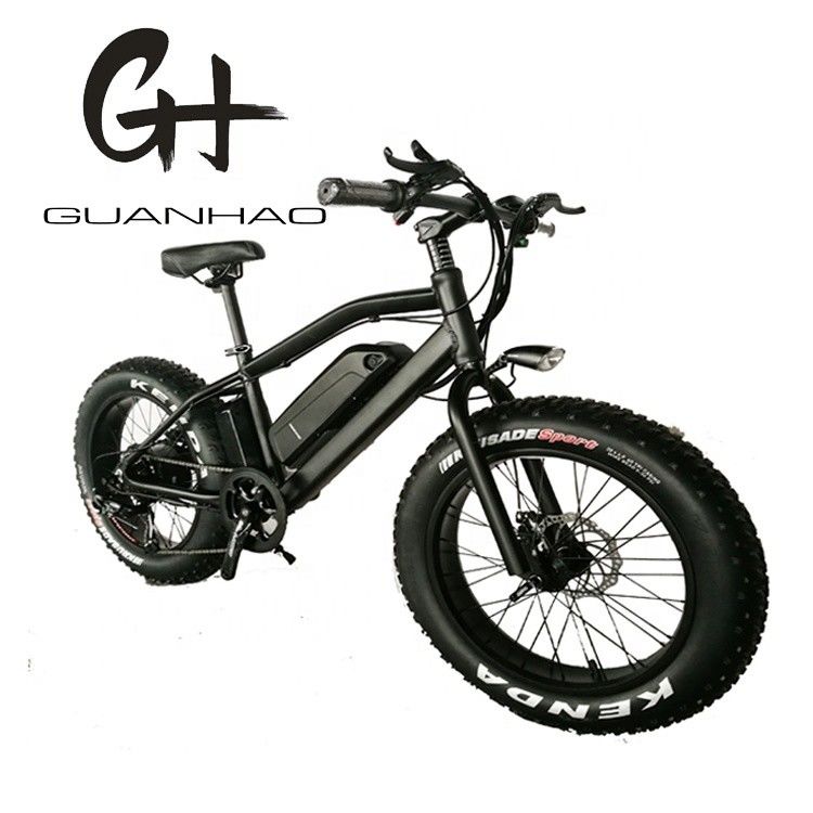 750W 20inch Fat Tire Mini Mountain Electric Bicycle ZOOM Stem Range per Power 10-30 km