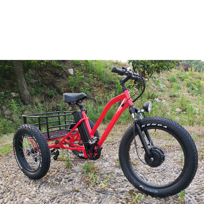 500W Cargo Adult 3 Wheel Electric Bicycle with Fat Aluminium Rim and EN71 Certificate