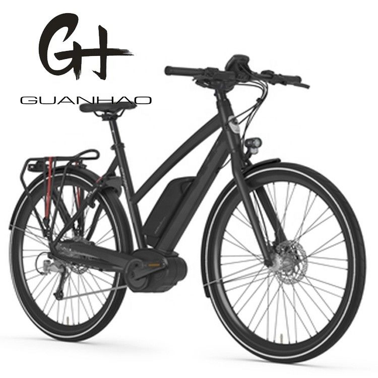 36V 250W 17Ah Middle Electric Motor Unisex City Electric Bicycle for Smart Riders