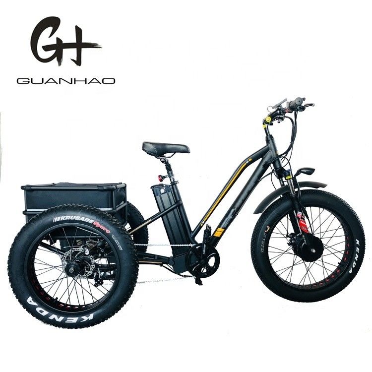 750W Front Motor 4.0 Tire Snow EN15194 Cargo Electric Cargo Tricycle with Disc Brake
